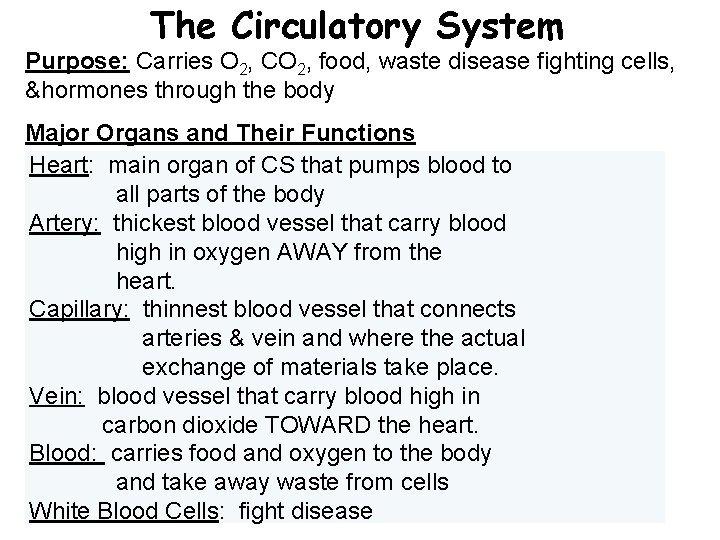 The Circulatory System Purpose: Carries O 2, CO 2, food, waste disease fighting cells,
