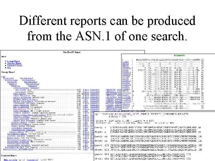 Different reports can be produced from the ASN. 1 of one search. 