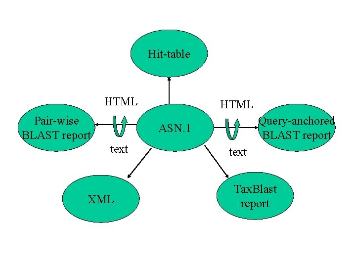 Hit-table HTML Pair-wise BLAST report HTML Query-anchored BLAST report ASN. 1 text XML text