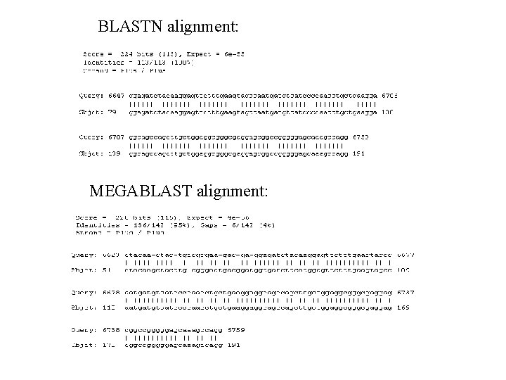 BLASTN alignment: MEGABLAST alignment: 