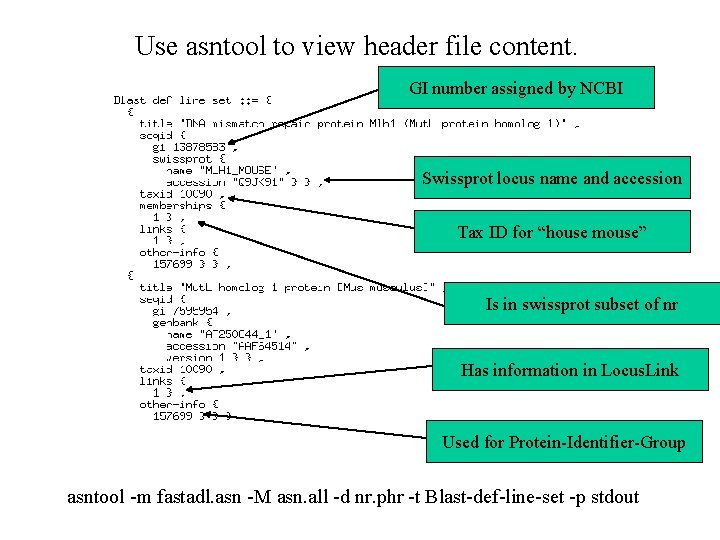 Use asntool to view header file content. GI number assigned by NCBI Swissprot locus