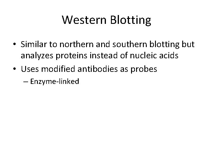 Western Blotting • Similar to northern and southern blotting but analyzes proteins instead of