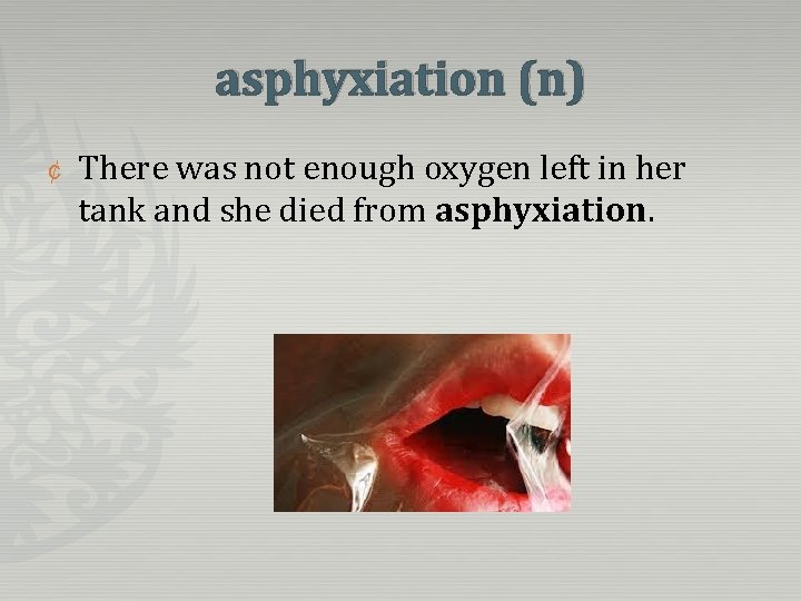 asphyxiation (n) ¢ There was not enough oxygen left in her tank and she