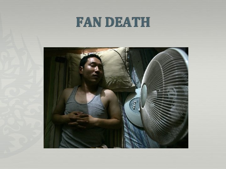 FAN DEATH 