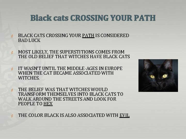 Black cats CROSSING YOUR PATH ¢ BLACK CATS CROSSING YOUR PATH IS CONSIDERED BAD