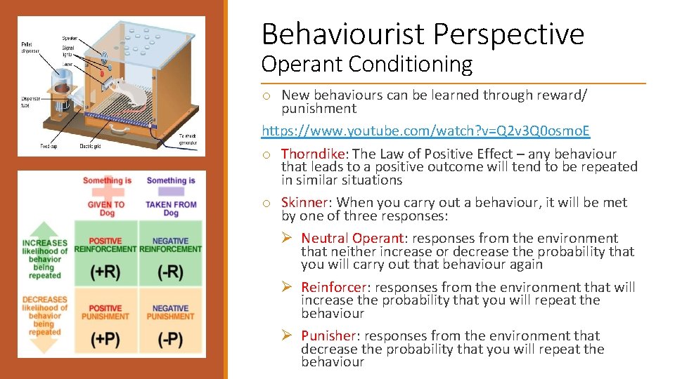 Behaviourist Perspective Operant Conditioning o New behaviours can be learned through reward/ punishment https: