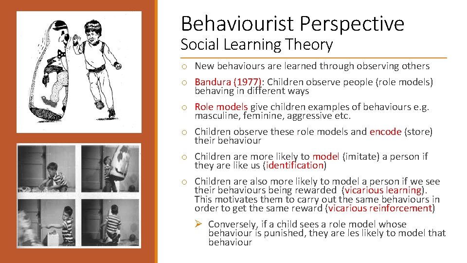Behaviourist Perspective Social Learning Theory o New behaviours are learned through observing others o