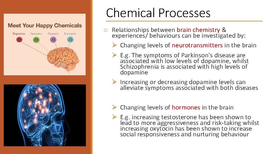 Chemical Processes o Relationships between brain chemistry & experiences/ behaviours can be investigated by: