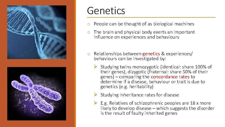 Genetics o People can be thought of as biological machines o The brain and