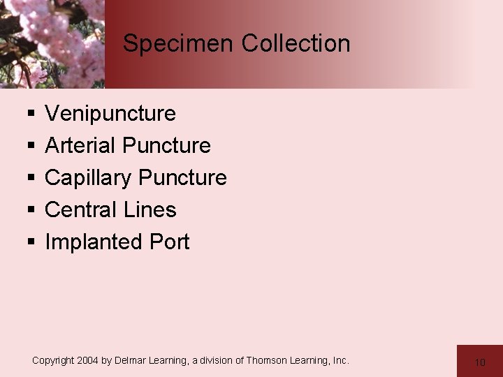 Specimen Collection § § § Venipuncture Arterial Puncture Capillary Puncture Central Lines Implanted Port