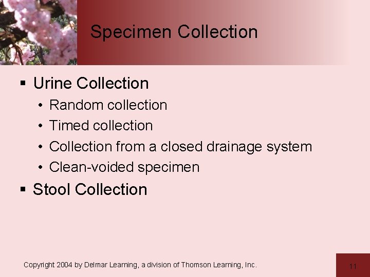 Specimen Collection § Urine Collection • • Random collection Timed collection Collection from a