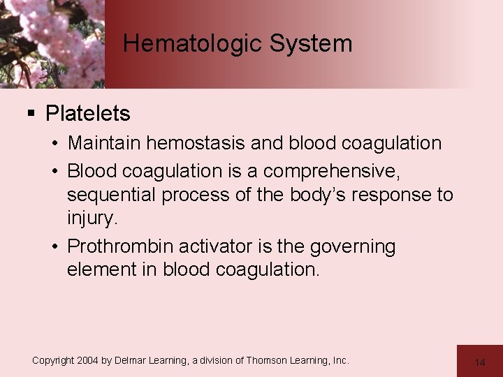 Hematologic System § Platelets • Maintain hemostasis and blood coagulation • Blood coagulation is
