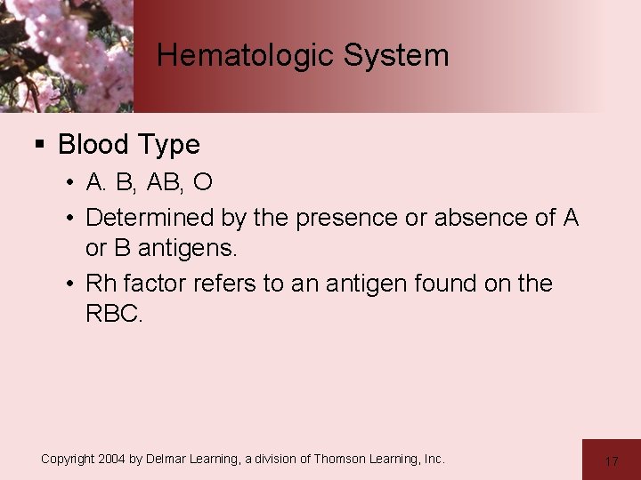 Hematologic System § Blood Type • A. B, AB, O • Determined by the