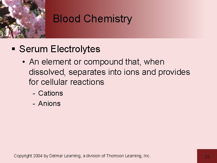 Blood Chemistry § Serum Electrolytes • An element or compound that, when dissolved, separates