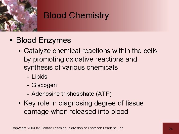 Blood Chemistry § Blood Enzymes • Catalyze chemical reactions within the cells by promoting