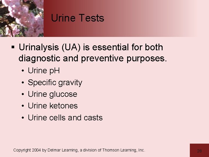 Urine Tests § Urinalysis (UA) is essential for both diagnostic and preventive purposes. •