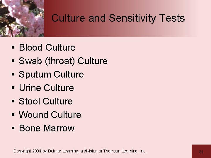 Culture and Sensitivity Tests § § § § Blood Culture Swab (throat) Culture Sputum