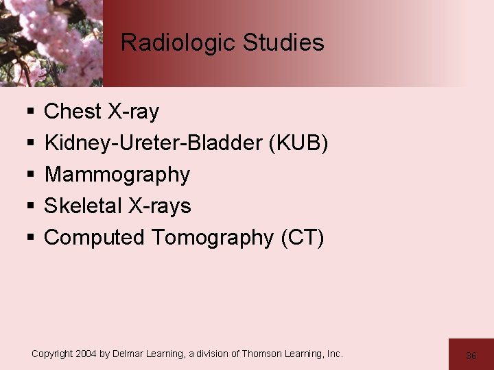 Radiologic Studies § § § Chest X-ray Kidney-Ureter-Bladder (KUB) Mammography Skeletal X-rays Computed Tomography