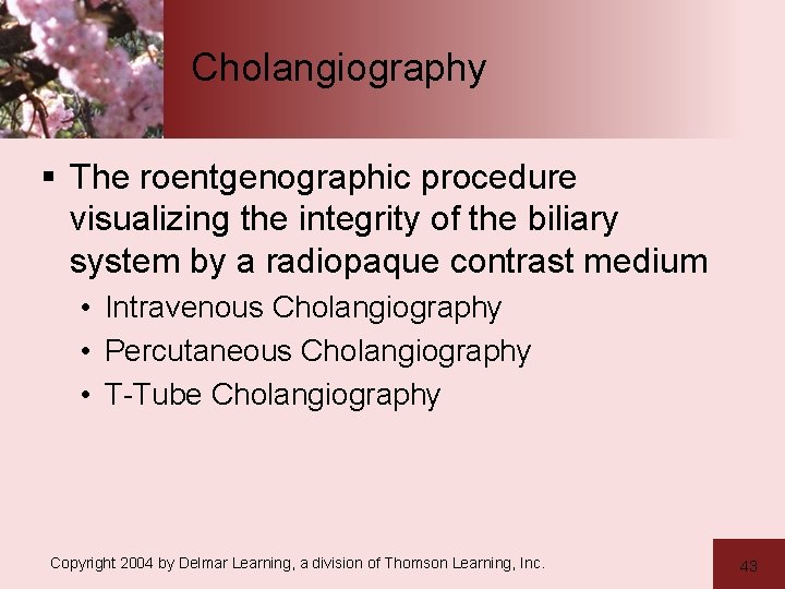 Cholangiography § The roentgenographic procedure visualizing the integrity of the biliary system by a