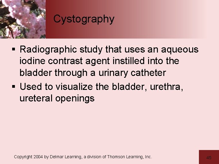 Cystography § Radiographic study that uses an aqueous iodine contrast agent instilled into the