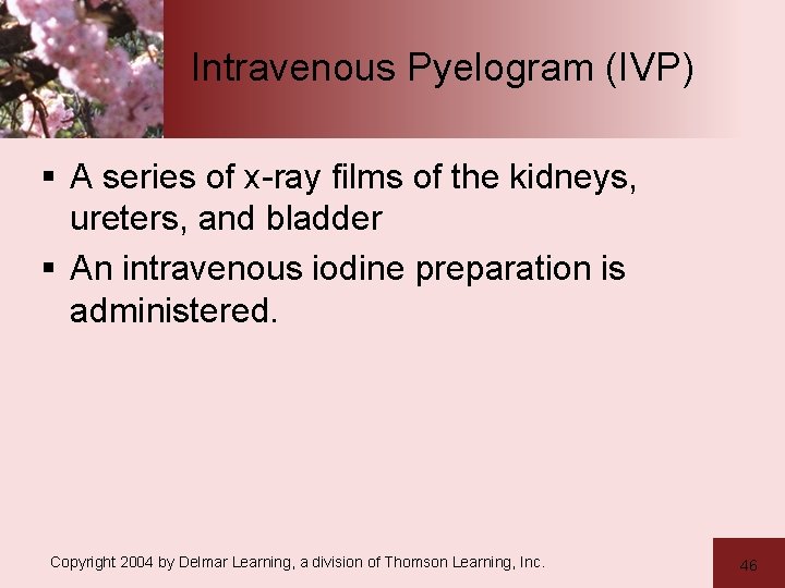 Intravenous Pyelogram (IVP) § A series of x-ray films of the kidneys, ureters, and