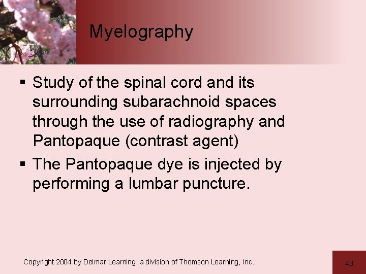 Myelography § Study of the spinal cord and its surrounding subarachnoid spaces through the