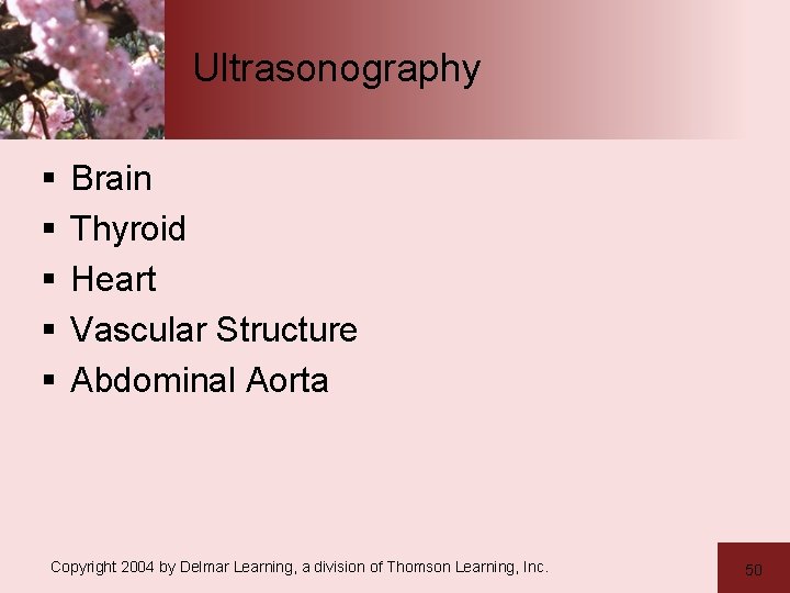 Ultrasonography § § § Brain Thyroid Heart Vascular Structure Abdominal Aorta Copyright 2004 by