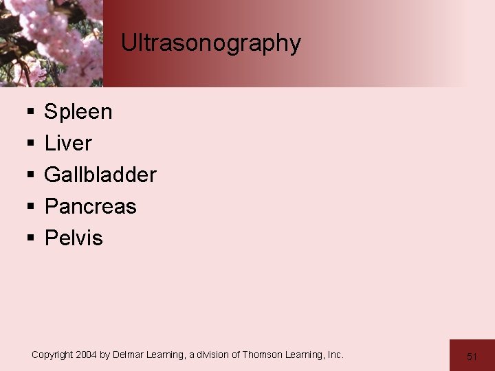 Ultrasonography § § § Spleen Liver Gallbladder Pancreas Pelvis Copyright 2004 by Delmar Learning,