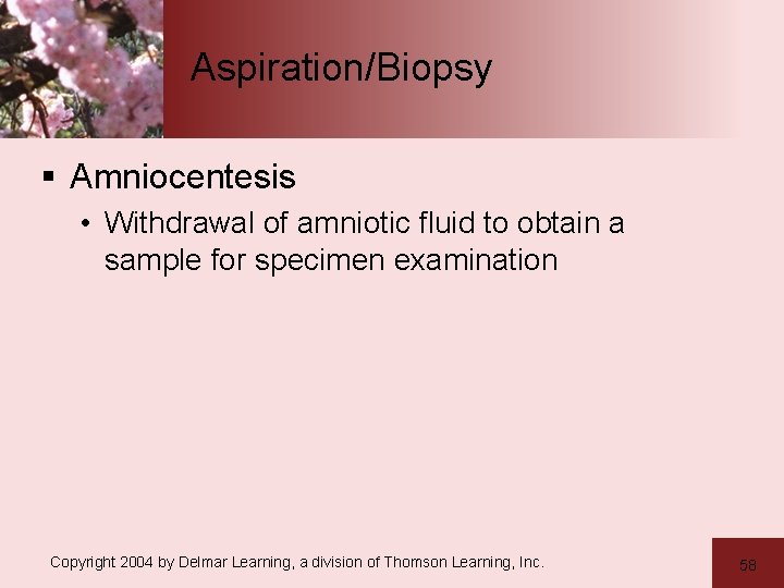 Aspiration/Biopsy § Amniocentesis • Withdrawal of amniotic fluid to obtain a sample for specimen