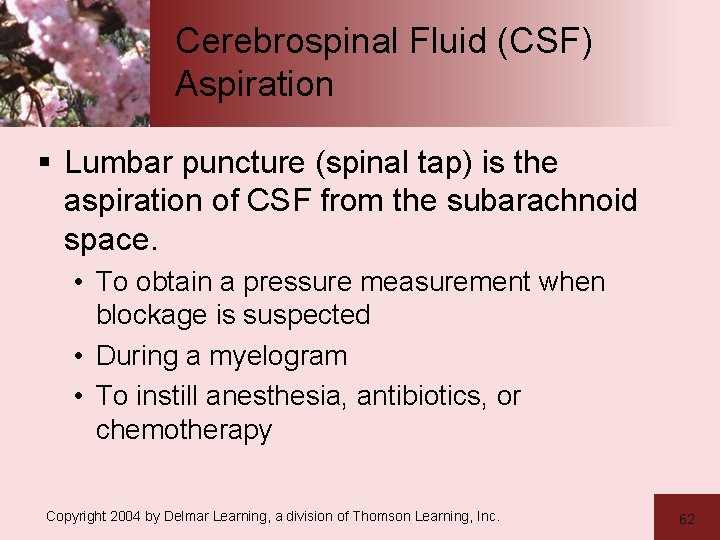 Cerebrospinal Fluid (CSF) Aspiration § Lumbar puncture (spinal tap) is the aspiration of CSF