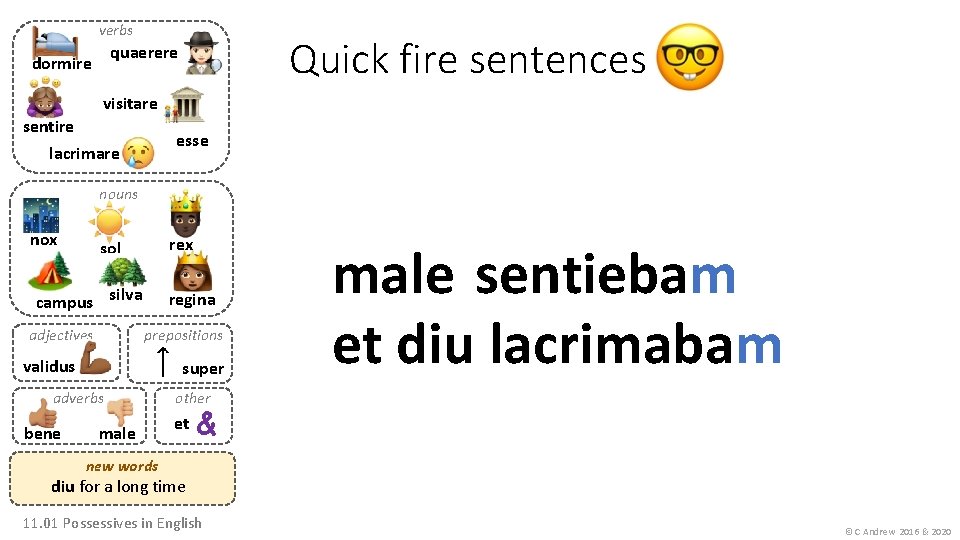 verbs Quick fire sentences quaerere dormire visitare sentire lacrimare esse nouns nox rex sol