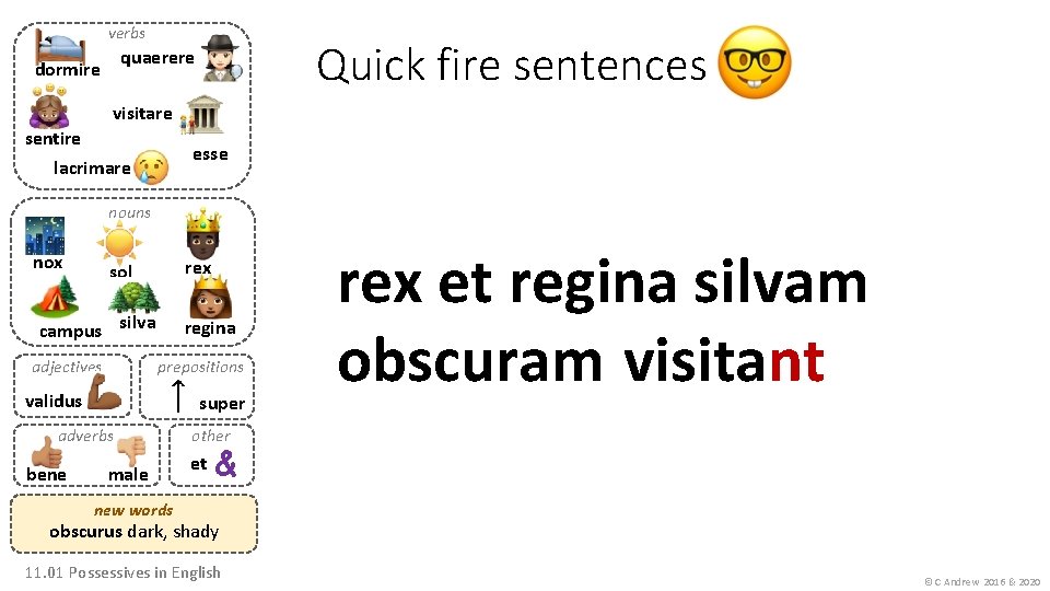 verbs Quick fire sentences quaerere dormire visitare sentire lacrimare esse nouns nox rex sol