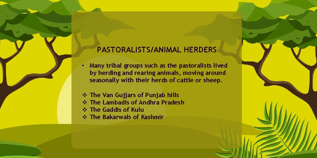 PASTORALISTS/ANIMAL HERDERS • Many tribal groups such as the pastoralists lived by herding and