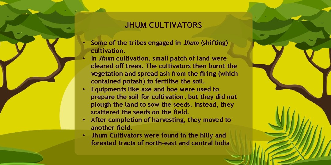 JHUM CULTIVATORS • Some of the tribes engaged in Jhum (shifting) cultivation. • In