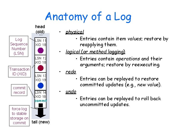 Anatomy of a Log head (old). . . Log Sequence Number (LSN) LSN 11