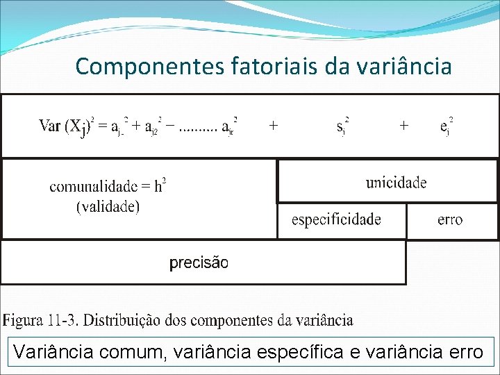 Componentes fatoriais da variância . Variância comum, variância específica e variância erro 