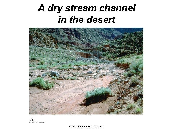 A dry stream channel in the desert © 2012 Pearson Education, Inc. 