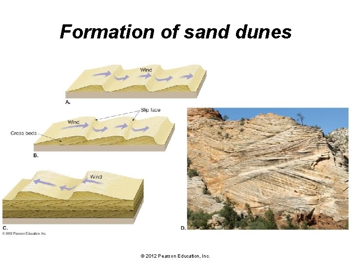 Formation of sand dunes © 2012 Pearson Education, Inc. 