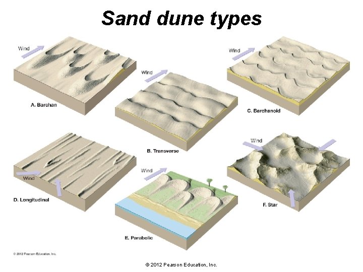 Sand dune types © 2012 Pearson Education, Inc. 