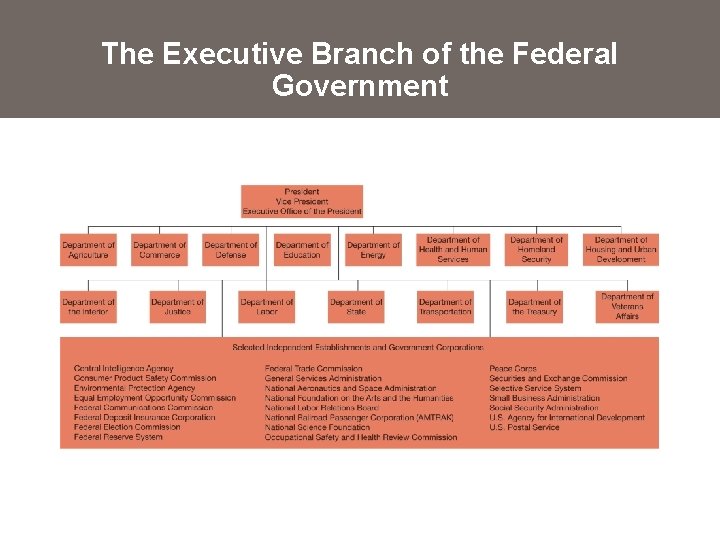 The Executive Branch of the Federal Government 