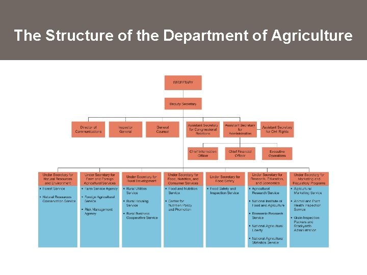 The Structure of the Department of Agriculture 