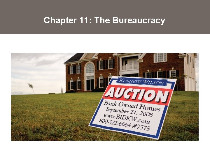 Chapter 11: The Bureaucracy 