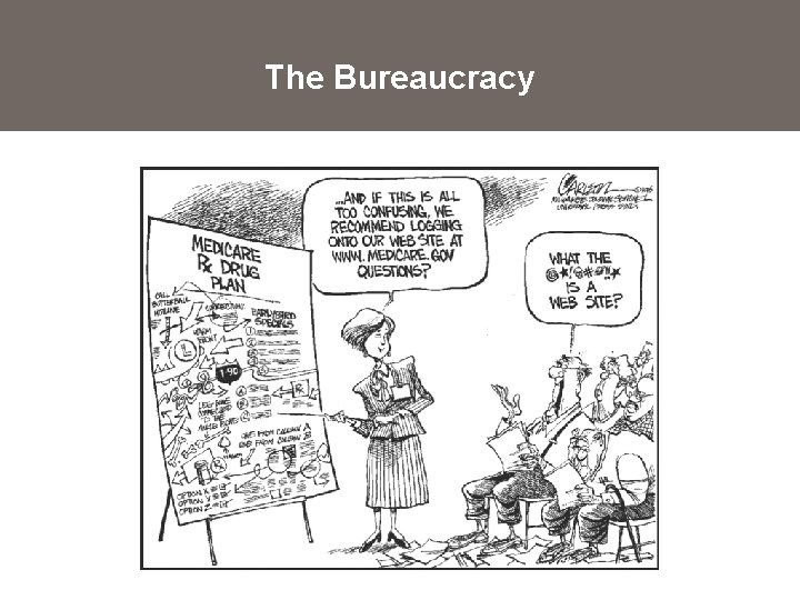 The Bureaucracy 