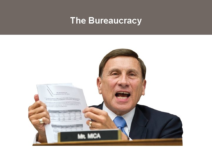 The Bureaucracy 