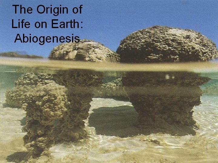 The Origin of Life on Earth: Abiogenesis 