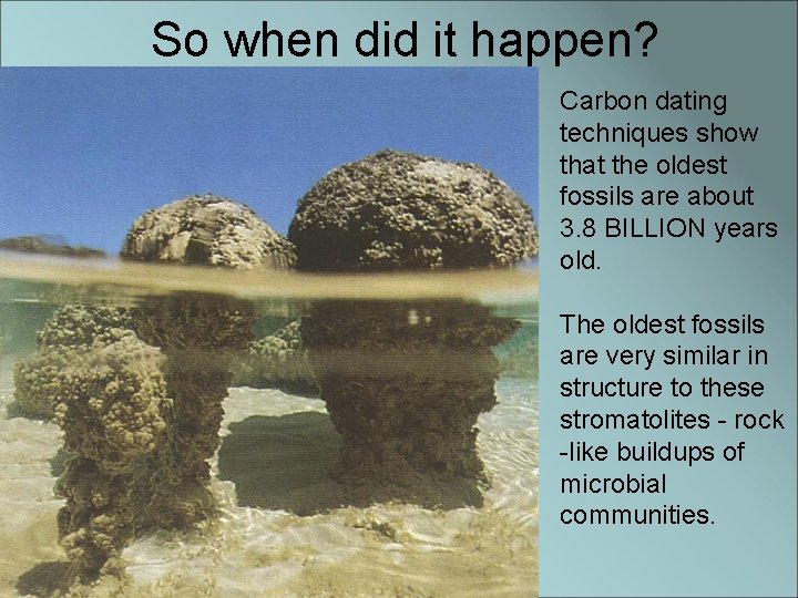 So when did it happen? Carbon dating techniques show that the oldest fossils are