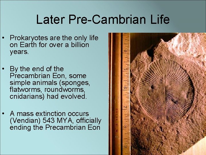 Later Pre-Cambrian Life • Prokaryotes are the only life on Earth for over a