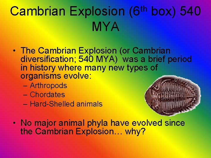 Cambrian Explosion MYA th (6 box) 540 • The Cambrian Explosion (or Cambrian diversification;