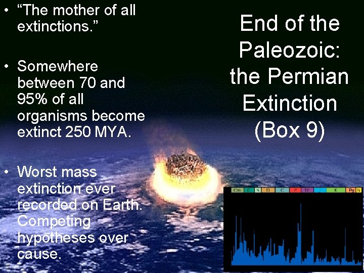  • “The mother of all extinctions. ” • Somewhere between 70 and 95%