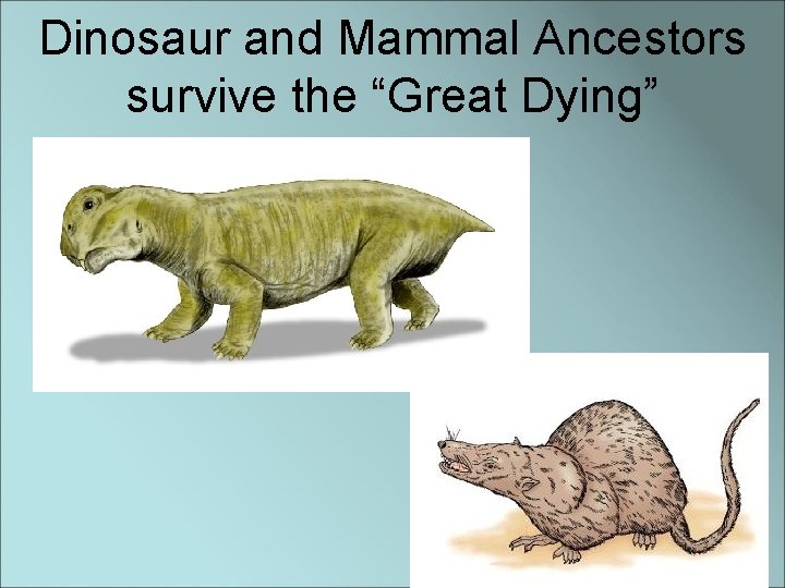 Dinosaur and Mammal Ancestors survive the “Great Dying” 